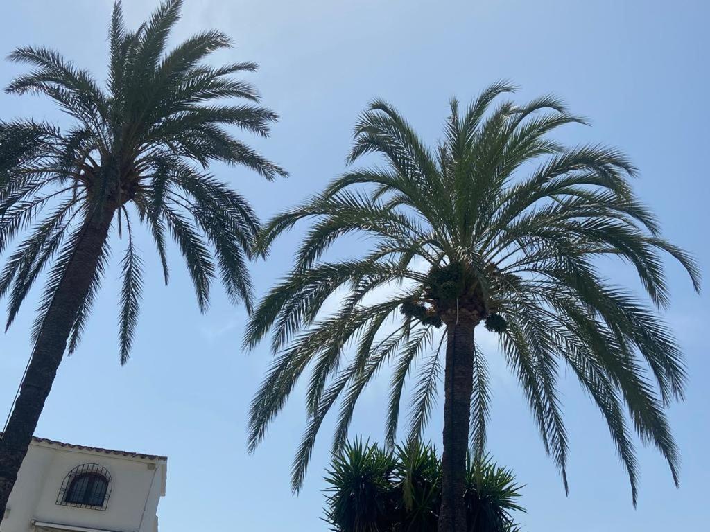 Apartamento Urb Oasis Park II Denia, Las Marinas Eksteriør bilde